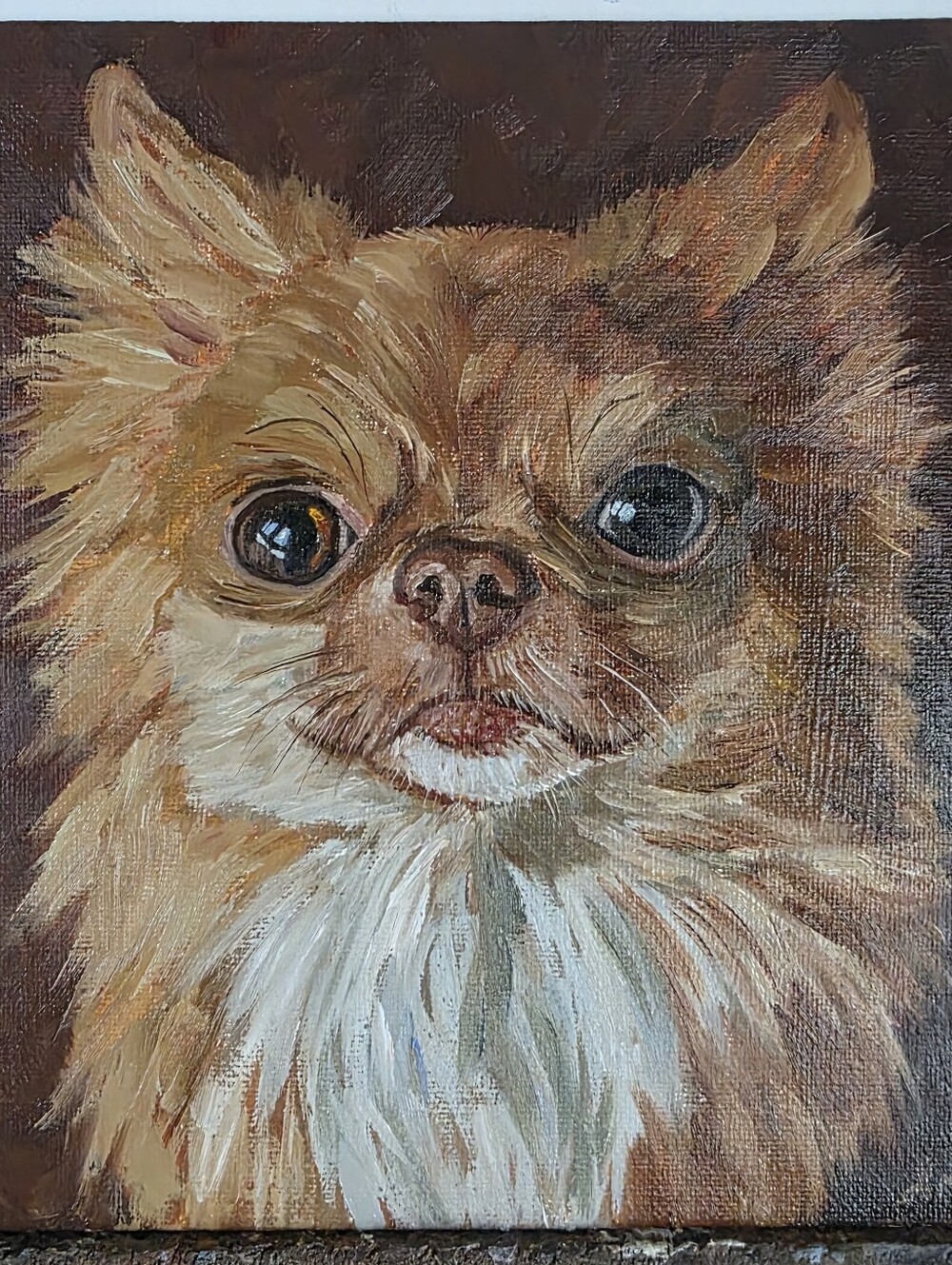Abstract oil Painting cute dog, Chihuahua